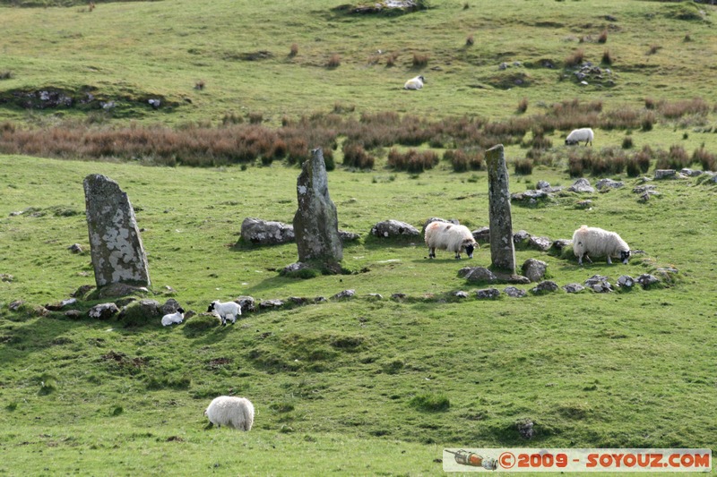 Mull - Glengorm - Standing Stones and sheep
Croig, Argyll and Bute, Scotland, United Kingdom
Mots-clés: Megalithique prehistorique animals Mouton