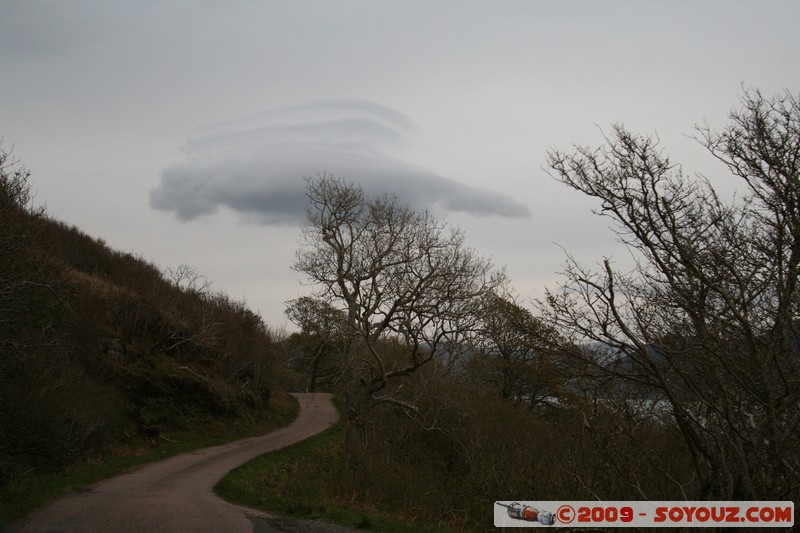 Mull
B8073, Argyll and Bute PA75 6, UK
Mots-clés: Arbres