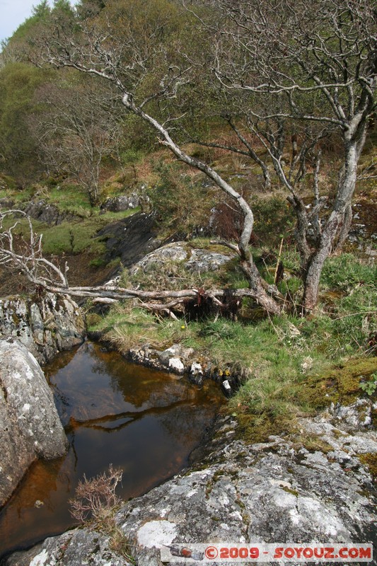 Highland - Larachbeg
Acharn, Highland, Scotland, United Kingdom
Mots-clés: Riviere Arbres