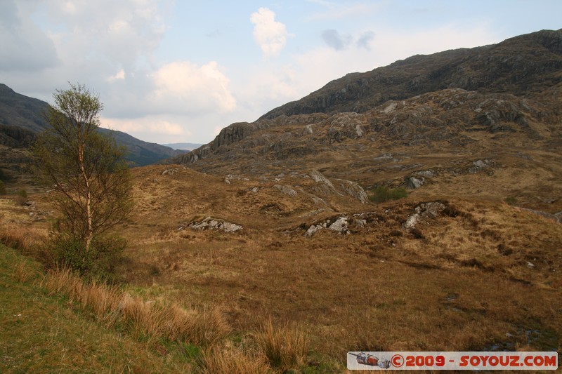 Highland - Road to the Isles
A830, Highland PH33 7, UK
