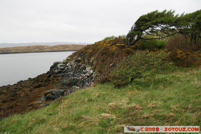 Skye - Dunvegan Castle
Dunvegan, Highland, Scotland, United Kingdom
Mots-clés: mer