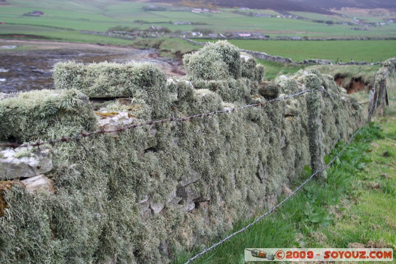 Orkney - Orphir
Orphir, Orkney, Scotland, United Kingdom
