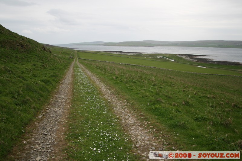 Orkney - Rousay
Georth, Orkney, Scotland, United Kingdom
Mots-clés: paysage