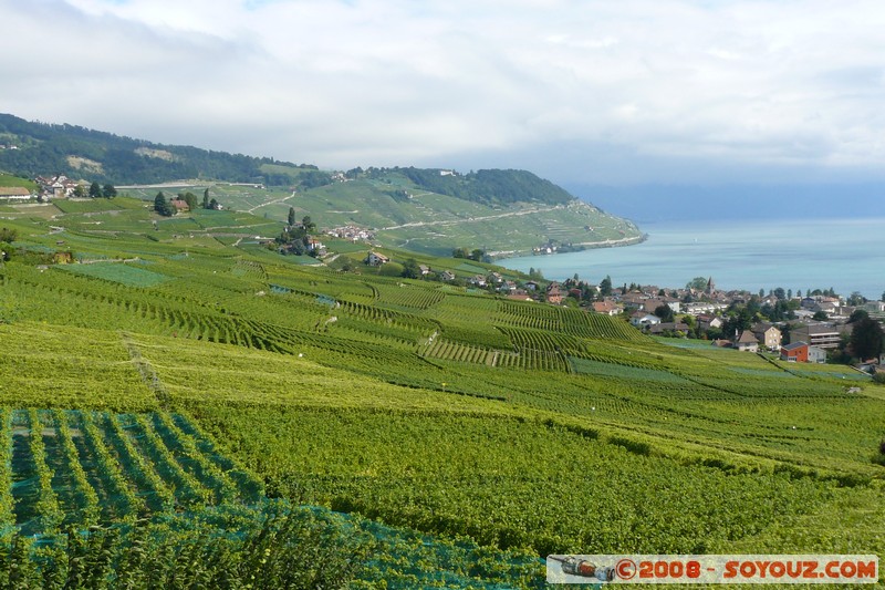 Grandvaux - vue sur les vignes et le lac Leman
Mots-clés: patrimoine unesco Lac vignes