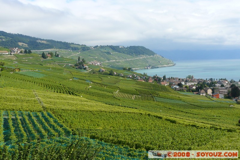 Grandvaux - vue sur les vignes et le lac Leman
Mots-clés: patrimoine unesco Lac vignes