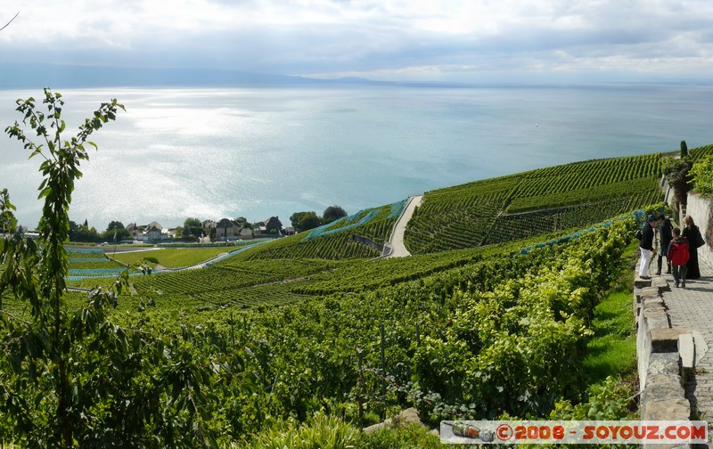 Grandvaux - vue sur les vignes et le lac Leman
Mots-clés: patrimoine unesco Lac vignes