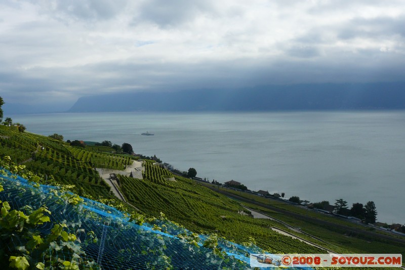 Grandvaux - vue sur les vignes et le lac Leman
Mots-clés: patrimoine unesco Lac vignes