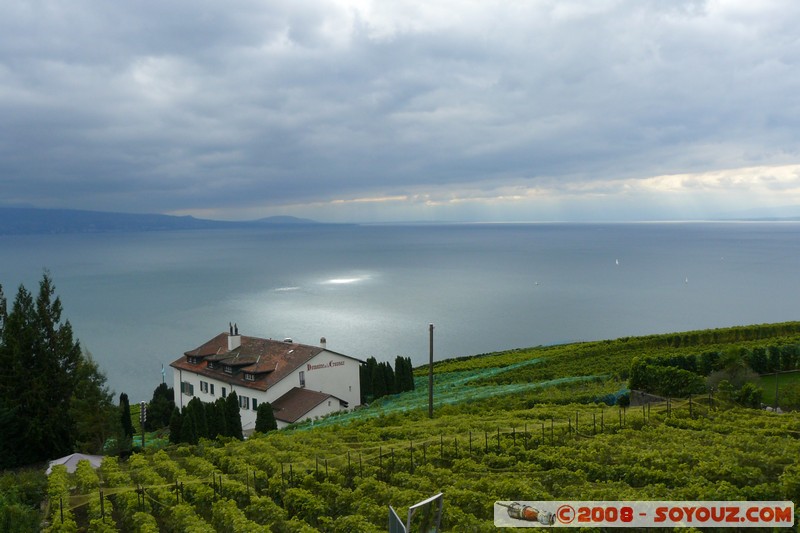 Grandvaux - vue sur les vignes et le lac Leman
Mots-clés: patrimoine unesco Lac vignes