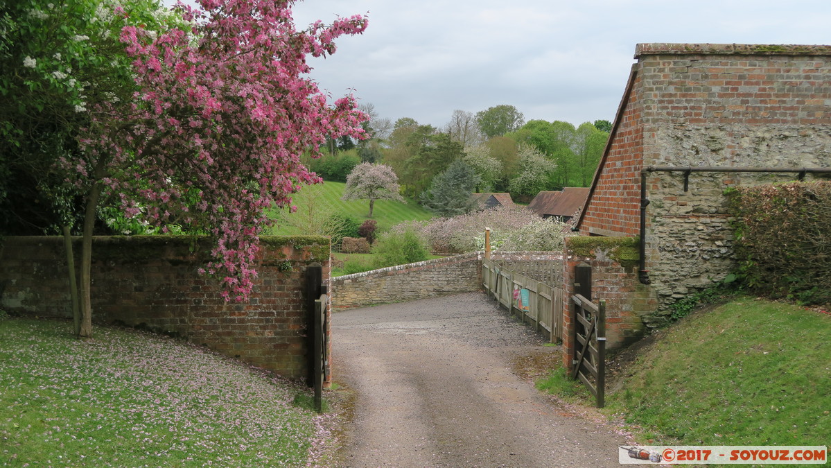 Ewelme - Church of England Primary School
Mots-clés: England Ewelme GBR geo:lat=51.61715389 geo:lon=-1.06762778 geotagged Royaume-Uni Oxfordshire Midsomer