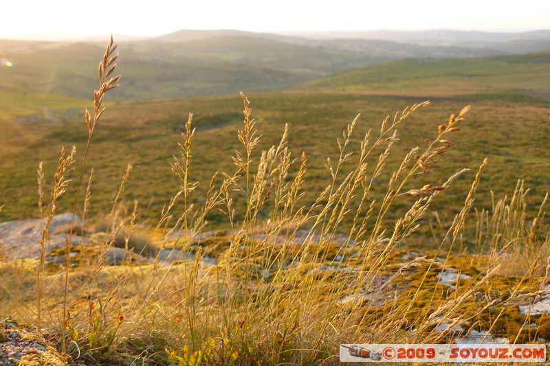 Dartmoor by Dusk
B3387, Ilsington, Devon TQ13 7, UK
Mots-clés: sunset