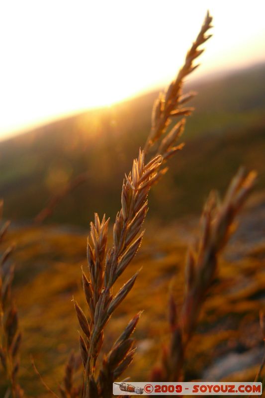 Dartmoor by Dusk
B3387, Ilsington, Devon TQ13 7, UK
Mots-clés: sunset Insolite