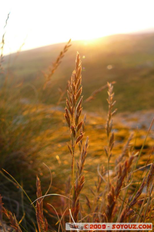 Dartmoor by Dusk
B3387, Ilsington, Devon TQ13 7, UK
Mots-clés: sunset Insolite