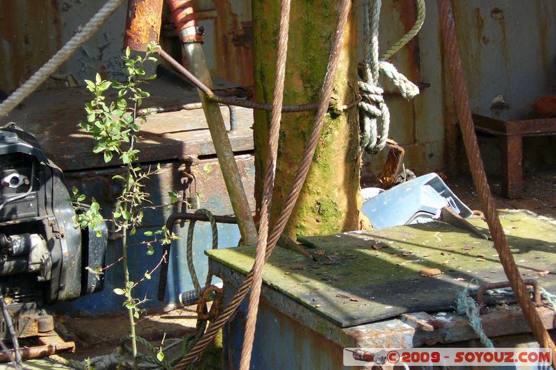 Brixham Harbour - Old fisching boat
Overgang Rd, Torquay, Torbay TQ5 8, UK
Mots-clés: bateau pecheur