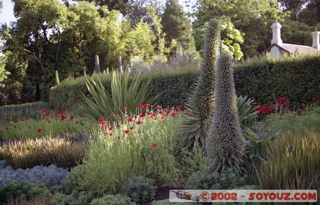 Royal Botanic Garden
