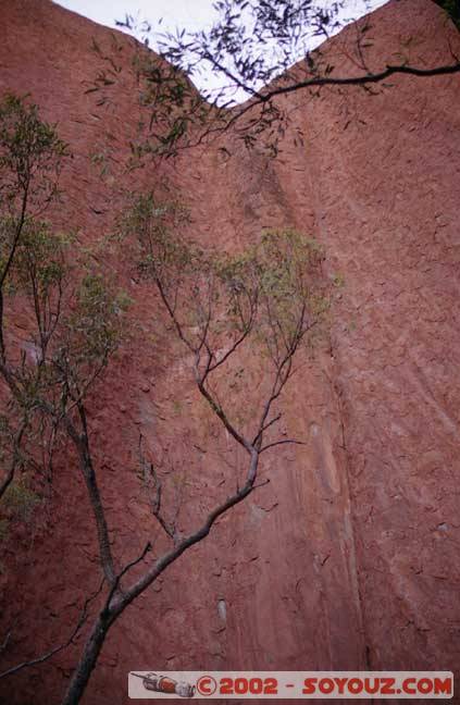 Uluru_24.jpg