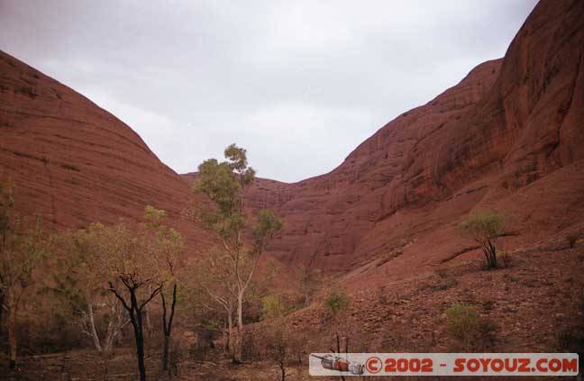 Theolgas_04.jpg