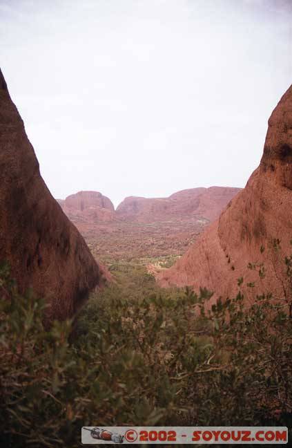 Theolgas_08.jpg