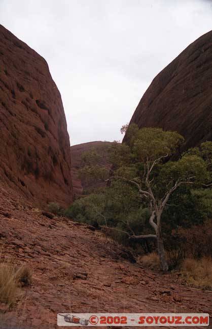 Theolgas_09.jpg