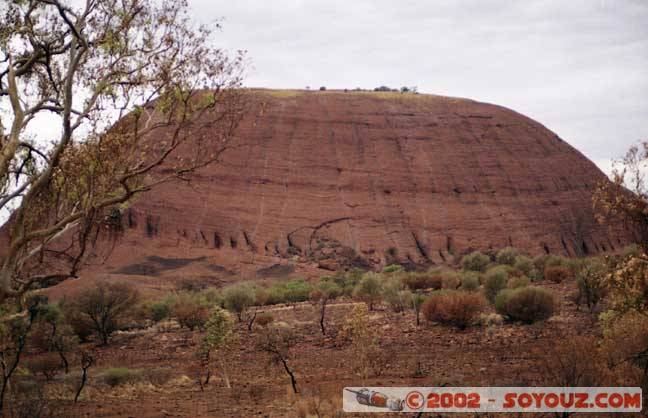 Theolgas_12.jpg