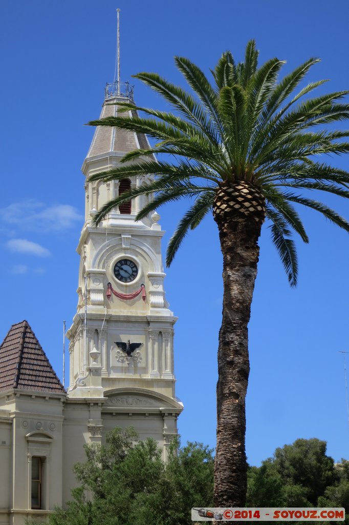 Fremantle Town Hall
Mots-clés: AUS Australie Fremantle Fremantle City geo:lat=-32.05329208 geo:lon=115.74801832 geotagged Western Australia Town Hall Palmier