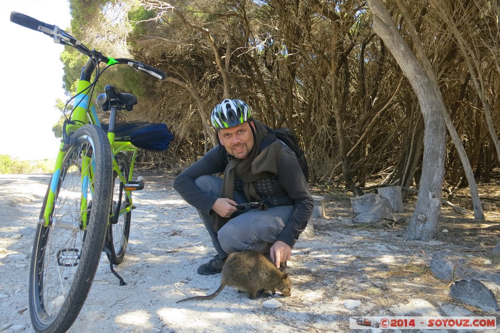 Rottnest Island - Wadjemup - Quokka
Mots-clés: AUS Australie geo:lat=-32.00521467 geo:lon=115.51141262 geotagged Rottnest Island Western Australia Wadjemup animals animals Australia Quokka