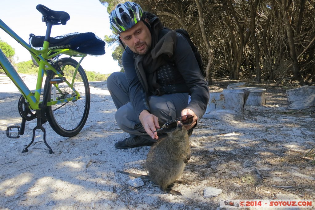 Rottnest Island - Wadjemup - Quokka
Mots-clés: AUS Australie geo:lat=-32.00521467 geo:lon=115.51141262 geotagged Rottnest Island Western Australia Wadjemup animals animals Australia Quokka