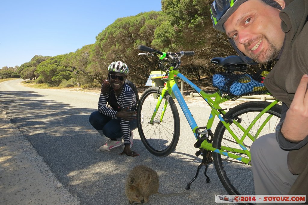 Rottnest Island - Wadjemup - Quokka
Mots-clés: AUS Australie geo:lat=-32.00521467 geo:lon=115.51141262 geotagged Rottnest Island Western Australia Wadjemup animals animals Australia Quokka