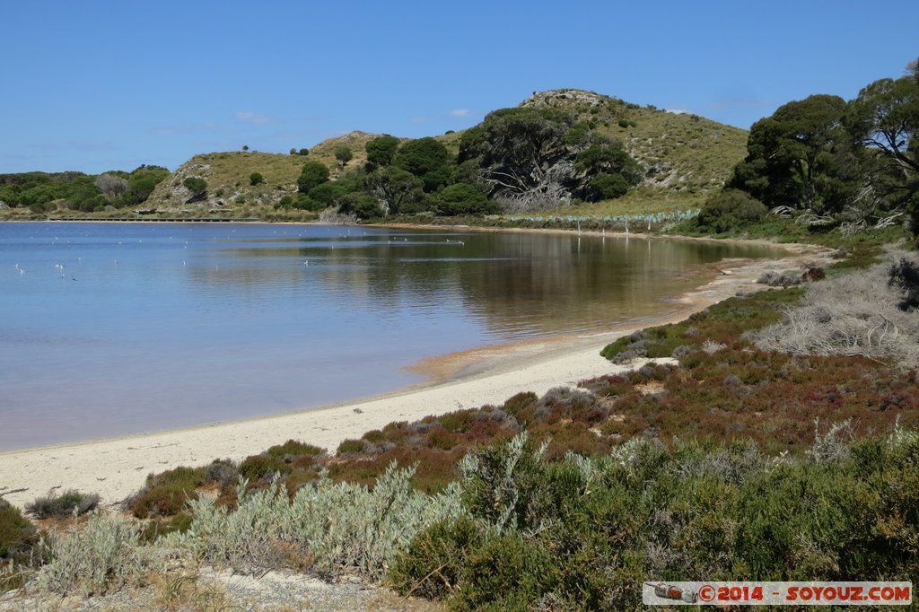 Rottnest Island - Pink Lake
Mots-clés: AUS Australie geo:lat=-31.99915971 geo:lon=115.51398754 geotagged Rottnest Island Western Australia Pink Lake Lac paysage