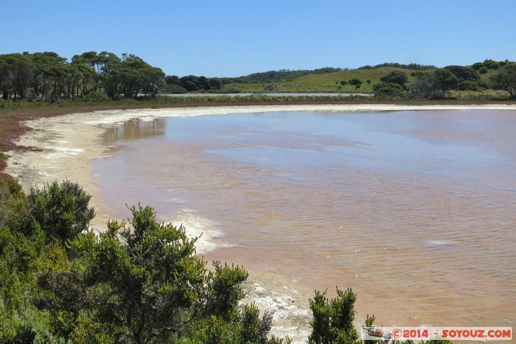 Rottnest Island - Pink Lake
Mots-clés: AUS Australie geo:lat=-31.99915971 geo:lon=115.51398754 geotagged Rottnest Island Western Australia Pink Lake Lac paysage