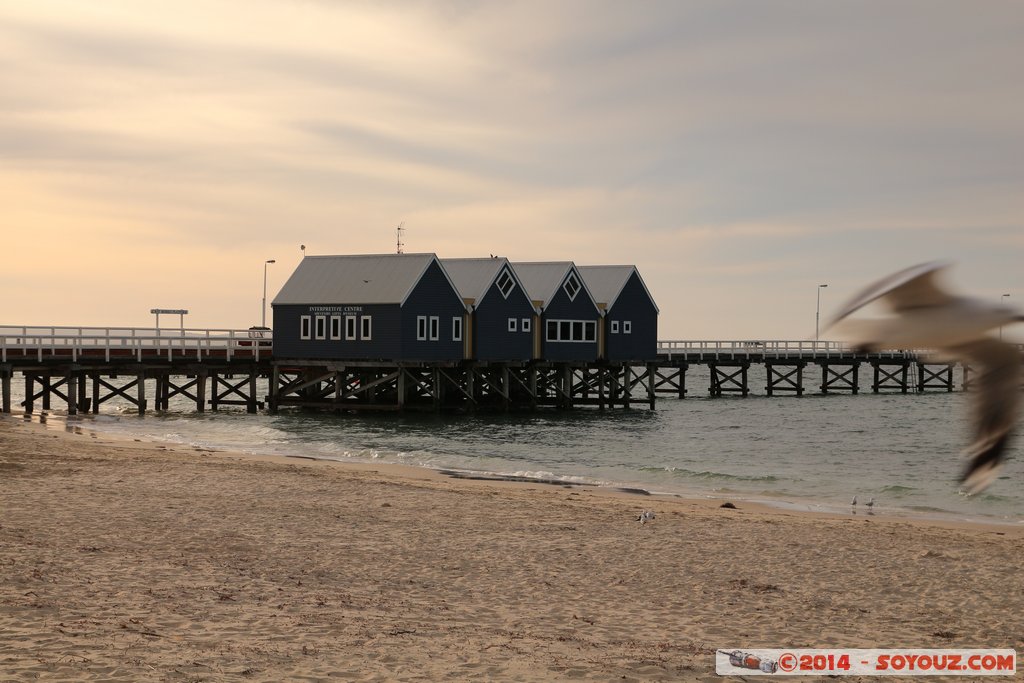 Margaret River - Busselton Jetty
Mots-clés: AUS Australie Busselton geo:lat=-33.64437123 geo:lon=115.34601697 geotagged Western Australia Margaret River Busselton Jetty sunset mer plage