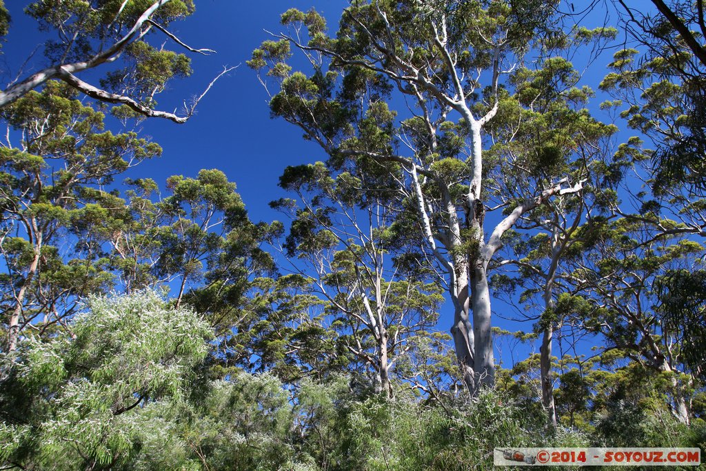 Margaret River - Deepdene - Jewel Cave
Mots-clés: AUS Australie geo:lat=-34.27380200 geo:lon=115.09590200 geotagged Leeuwin Western Australia Margaret River Jewel Cave Deepdene