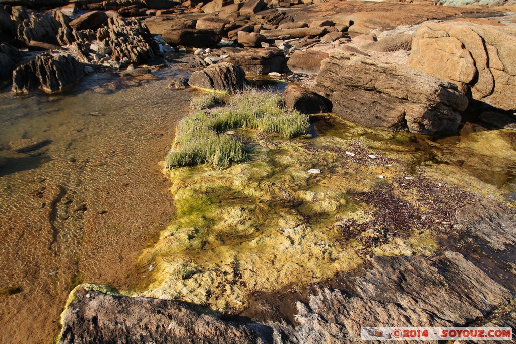 Margaret River - Cape Leeuwin
Mots-clés: Augusta AUS Australie Flinders Bay geo:lat=-34.36874326 geo:lon=115.13530697 geotagged Western Australia Margaret River Cape Leeuwin