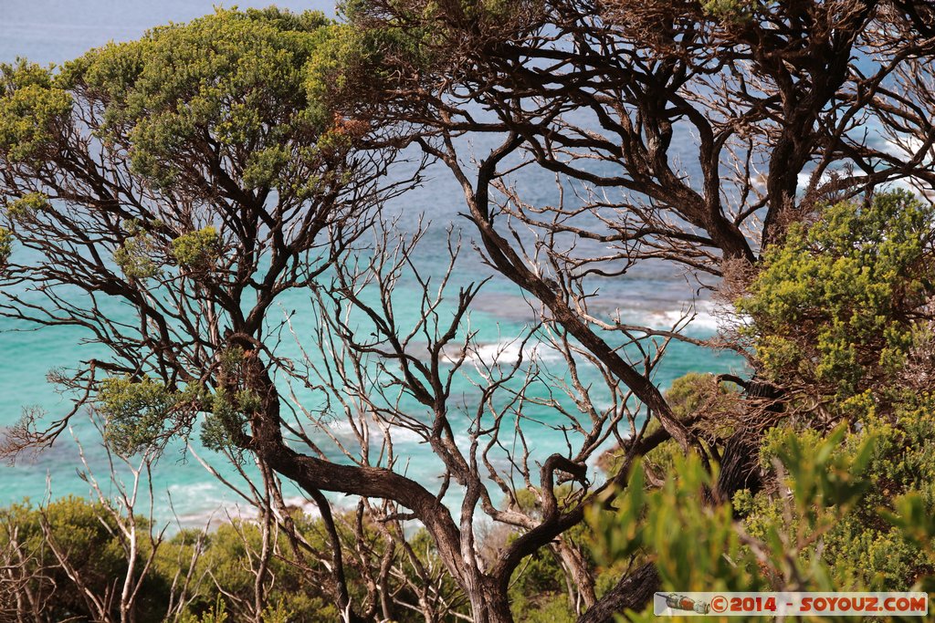 Margaret River - Yallingup - Canal Rocks
Mots-clés: AUS Australie geo:lat=-33.66872939 geo:lon=115.00285026 geotagged Western Australia Yallingup Margaret River Canal Rocks mer