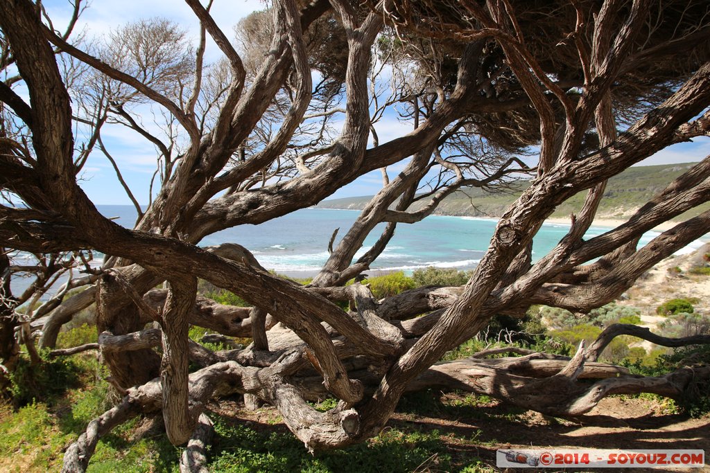 Margaret River - Yallingup Beach
Mots-clés: AUS Australie geo:lat=-33.63855733 geo:lon=115.02562570 geotagged Quedjinup Western Australia Yallingup Margaret River plage mer