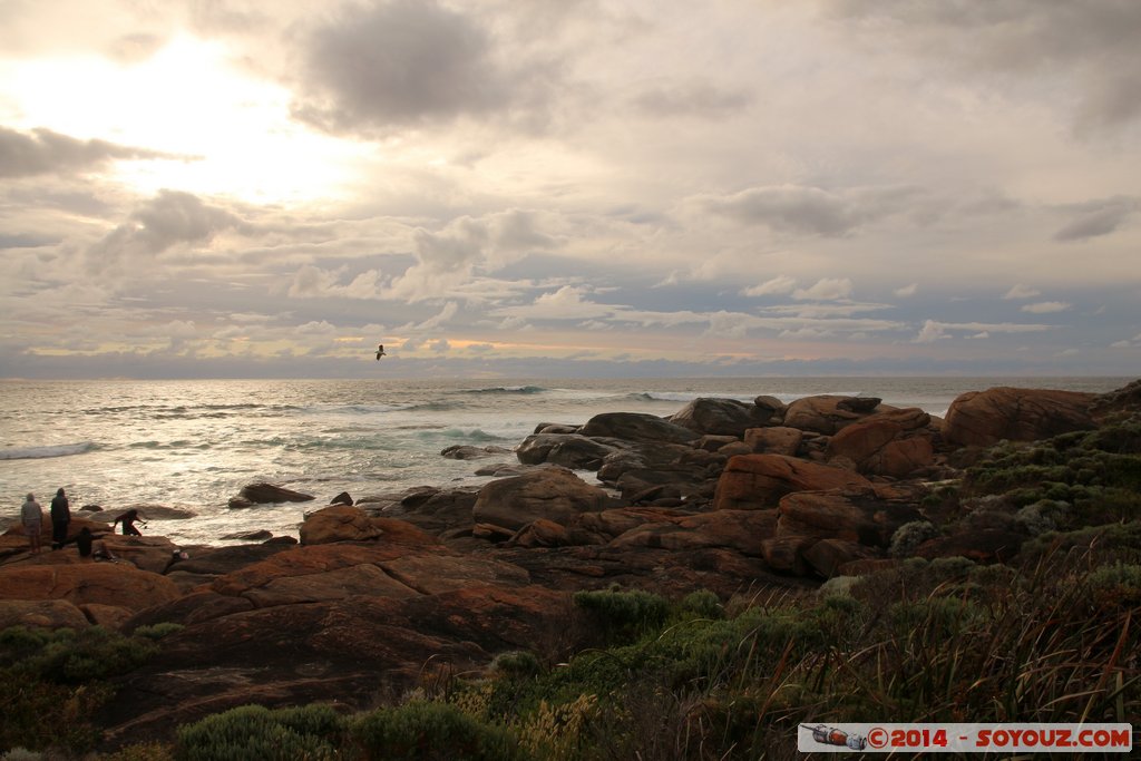 Margaret River - Redgate Beach
Mots-clés: AUS Australie geo:lat=-34.03937871 geo:lon=114.99929807 geotagged Gnarabup Western Australia Margaret River Redgate Beach mer