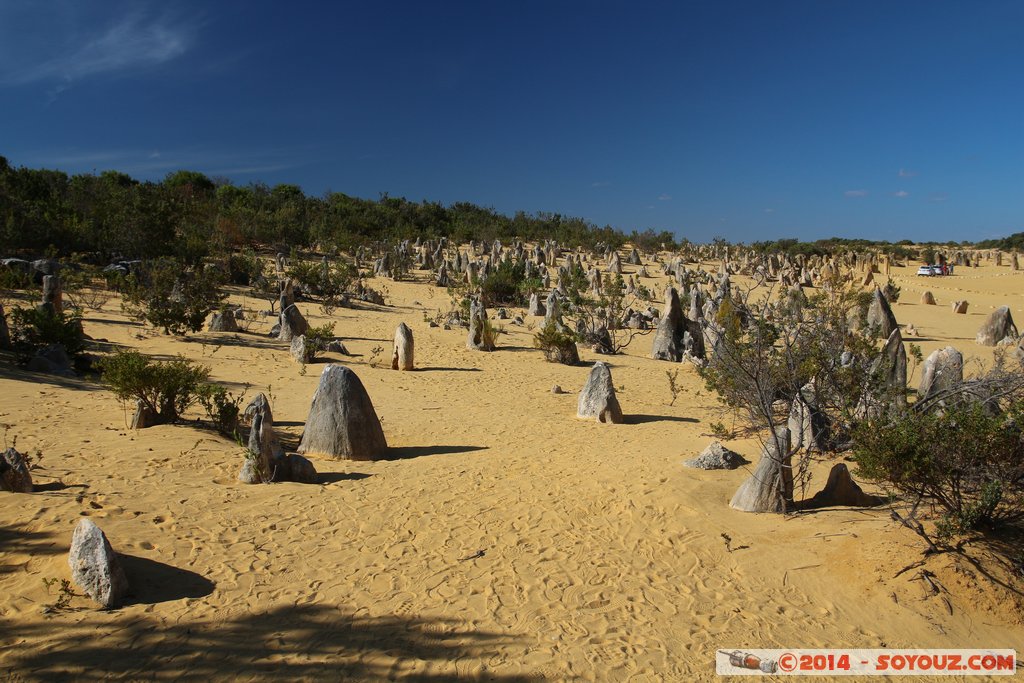 Nambung National Park  - The Pinnacles
Mots-clés: AUS Australie Cervantes geo:lat=-30.60297211 geo:lon=115.15683037 geotagged Western Australia Parc paysage