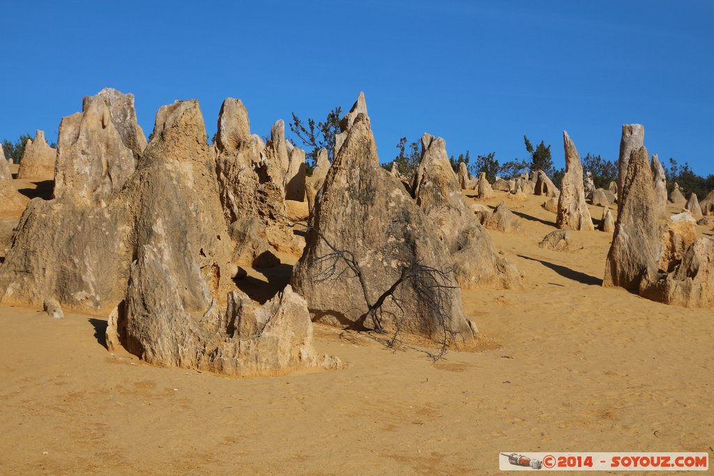 Nambung National Park  - The Pinnacles
Mots-clés: AUS Australie Cervantes geo:lat=-30.60132229 geo:lon=115.16086914 geotagged Western Australia Parc paysage