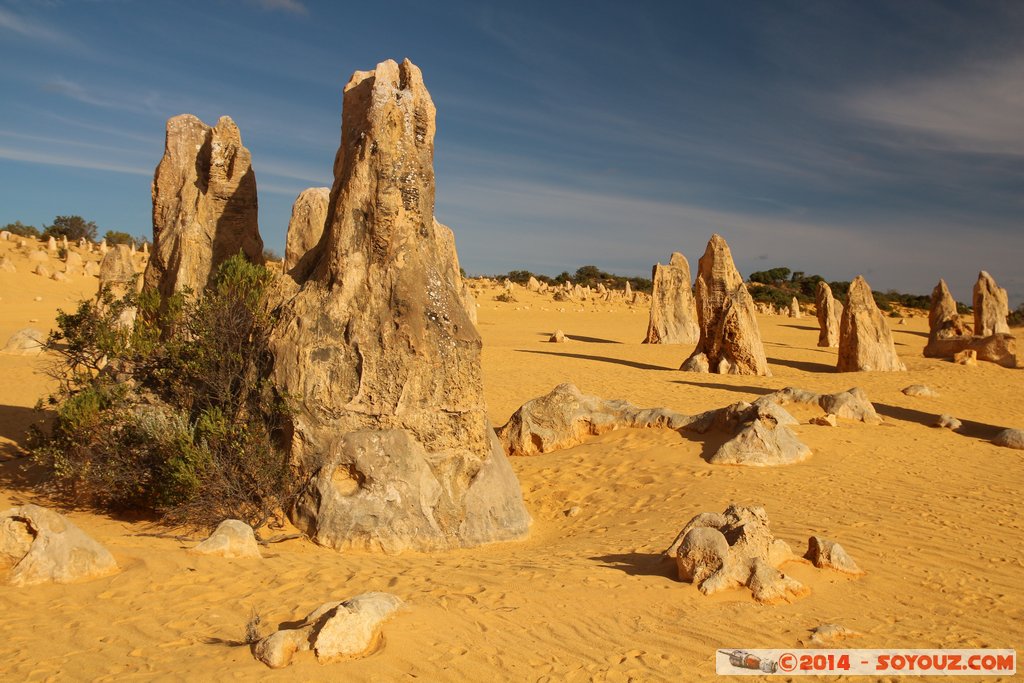 Nambung National Park  - The Pinnacles
Mots-clés: AUS Australie Cervantes geo:lat=-30.60297629 geo:lon=115.16261557 geotagged Western Australia Parc paysage