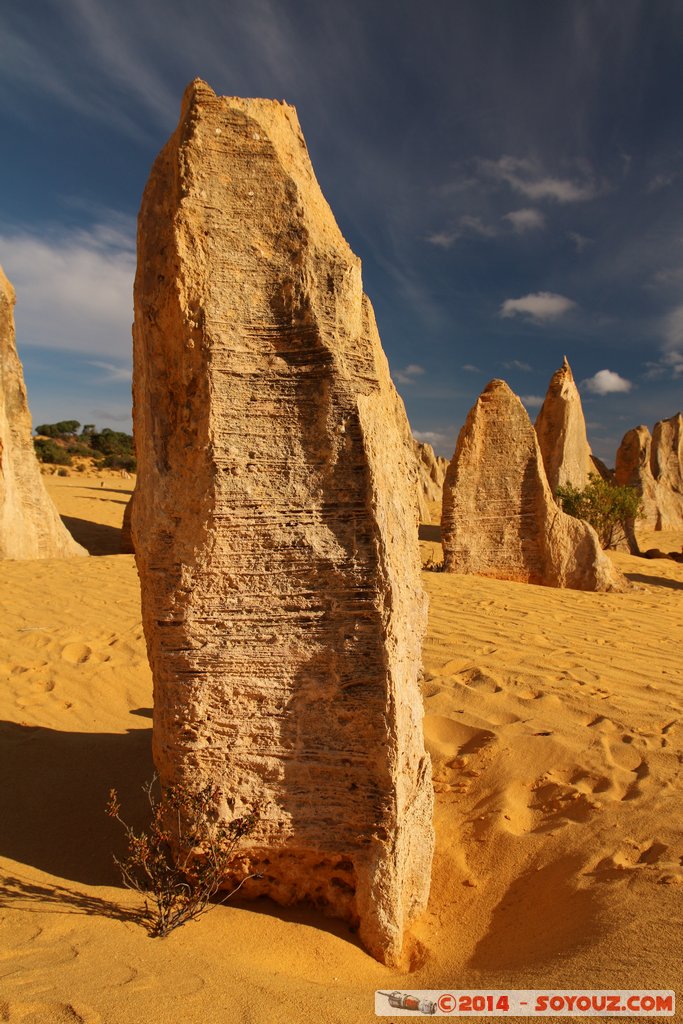 Nambung National Park  - The Pinnacles
Mots-clés: AUS Australie Cervantes geo:lat=-30.60349620 geo:lon=115.16277960 geotagged Western Australia Parc paysage