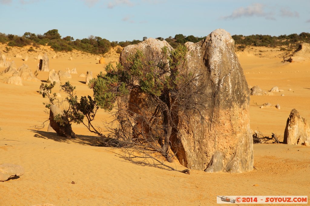 Nambung National Park  - The Pinnacles
Mots-clés: AUS Australie Cervantes geo:lat=-30.60471140 geo:lon=115.16048740 geotagged Western Australia Parc paysage