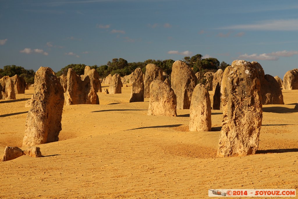 Nambung National Park  - The Pinnacles
Mots-clés: AUS Australie Cervantes geo:lat=-30.60465350 geo:lon=115.16032450 geotagged Western Australia Parc paysage