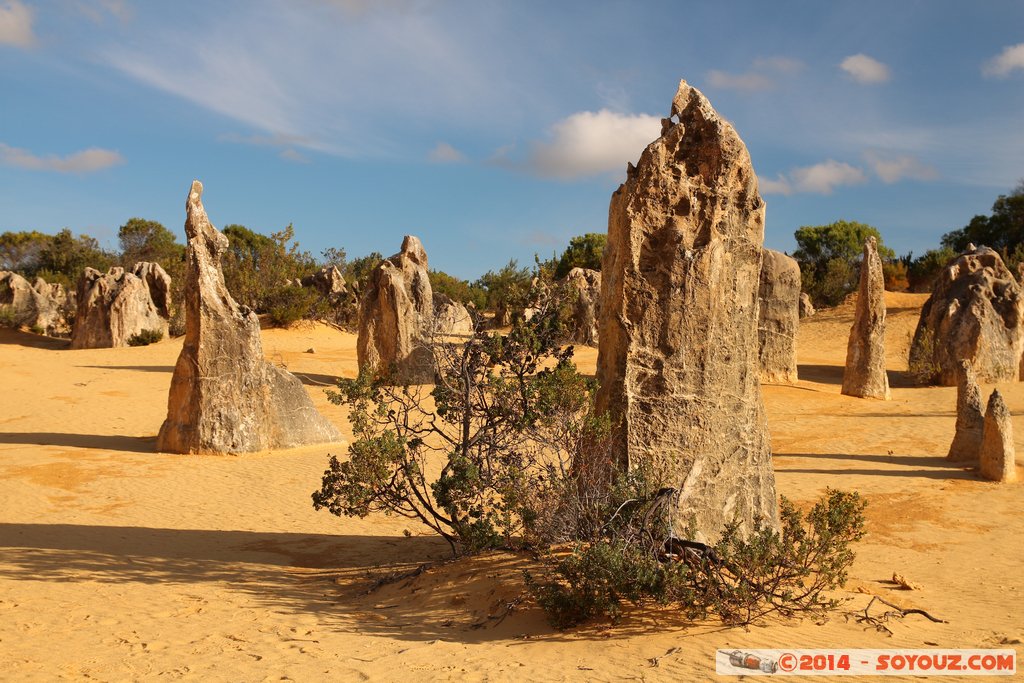 Nambung National Park  - The Pinnacles
Mots-clés: AUS Australie Cervantes geo:lat=-30.60578300 geo:lon=115.15738980 geotagged Western Australia Parc paysage