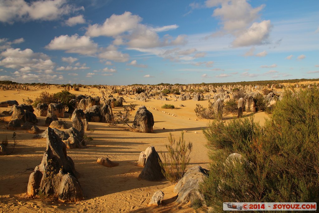 Nambung National Park  - The Pinnacles
Mots-clés: AUS Australie Cervantes geo:lat=-30.60313134 geo:lon=115.15713534 geotagged Western Australia Parc paysage