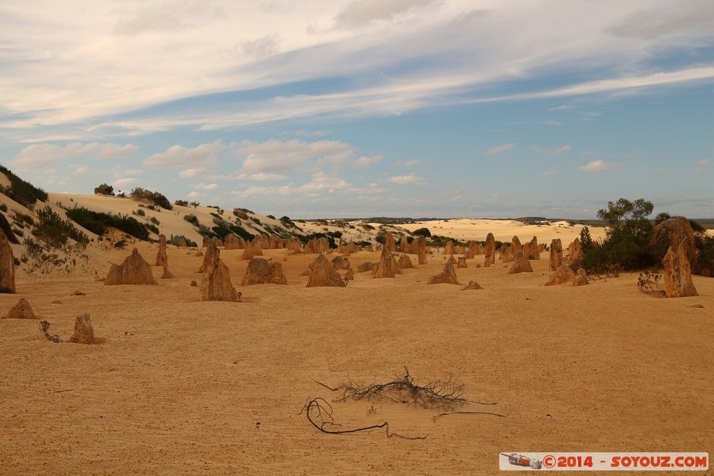 Nambung National Park  - The Pinnacles
Mots-clés: AUS Australie Cervantes geo:lat=-30.59626900 geo:lon=115.16323223 geotagged Western Australia Parc paysage