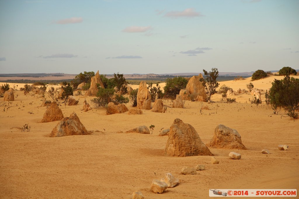 Nambung National Park  - The Pinnacles
Mots-clés: AUS Australie Cervantes geo:lat=-30.59626822 geo:lon=115.16323099 geotagged Western Australia Parc paysage