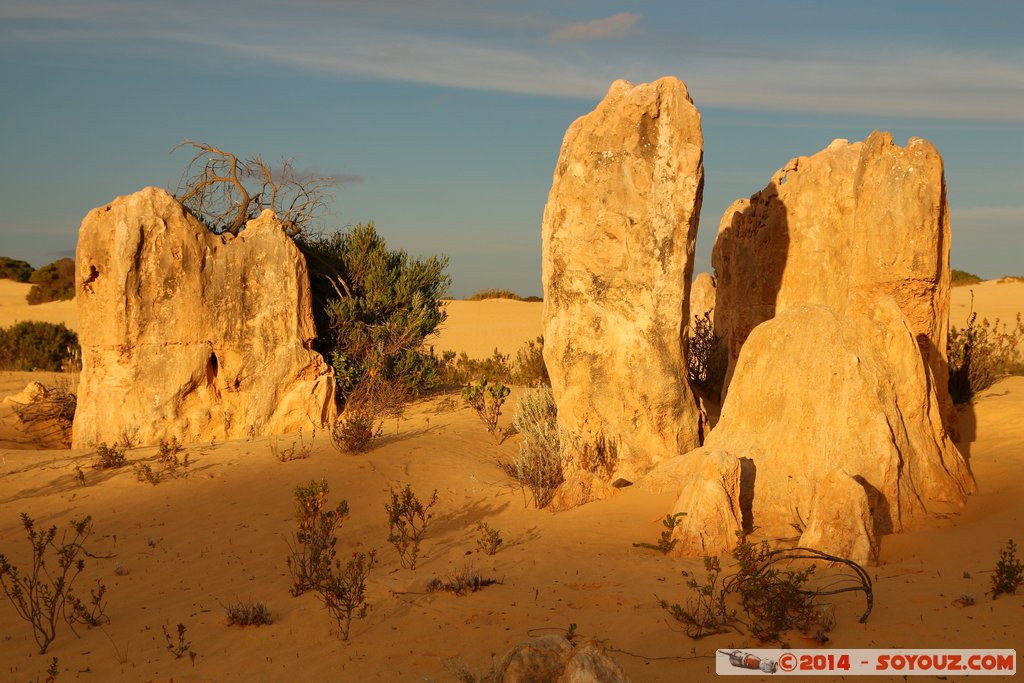 Nambung National Park  - The Pinnacles
Mots-clés: AUS Australie Cervantes geo:lat=-30.59626522 geo:lon=115.16325840 geotagged Western Australia Parc paysage