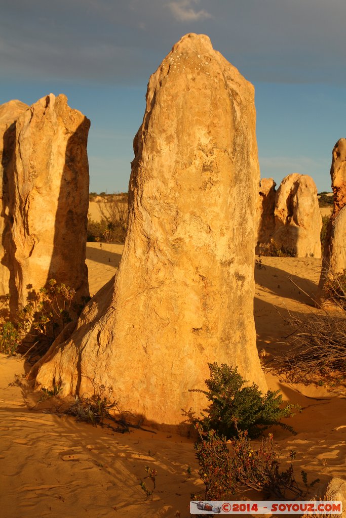 Nambung National Park  - The Pinnacles
Mots-clés: AUS Australie Cervantes geo:lat=-30.59626575 geo:lon=115.16325622 geotagged Western Australia Parc paysage