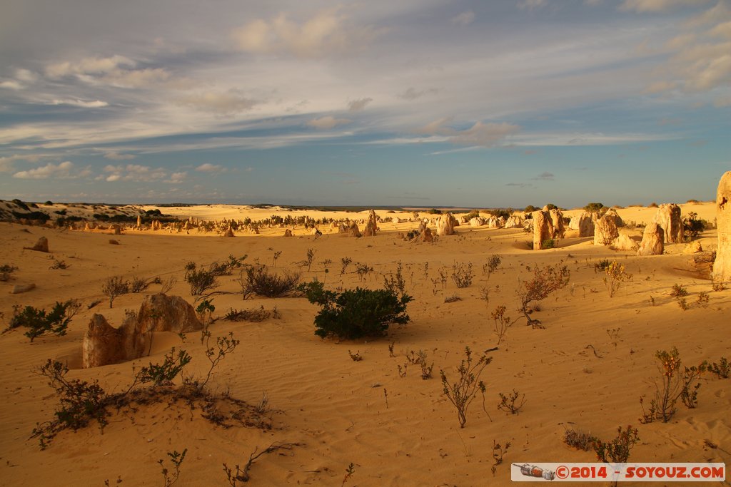 Nambung National Park  - The Pinnacles
Mots-clés: AUS Australie Cervantes geo:lat=-30.59626628 geo:lon=115.16325404 geotagged Western Australia Parc paysage