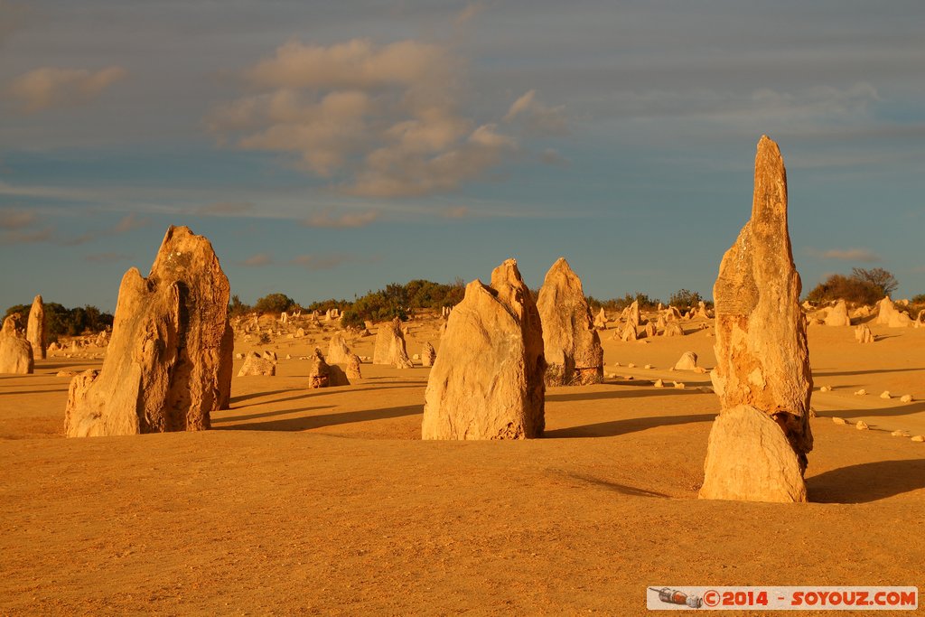 Nambung National Park  - The Pinnacles
Mots-clés: AUS Australie Cervantes geo:lat=-30.60436233 geo:lon=115.16285933 geotagged Western Australia Parc paysage