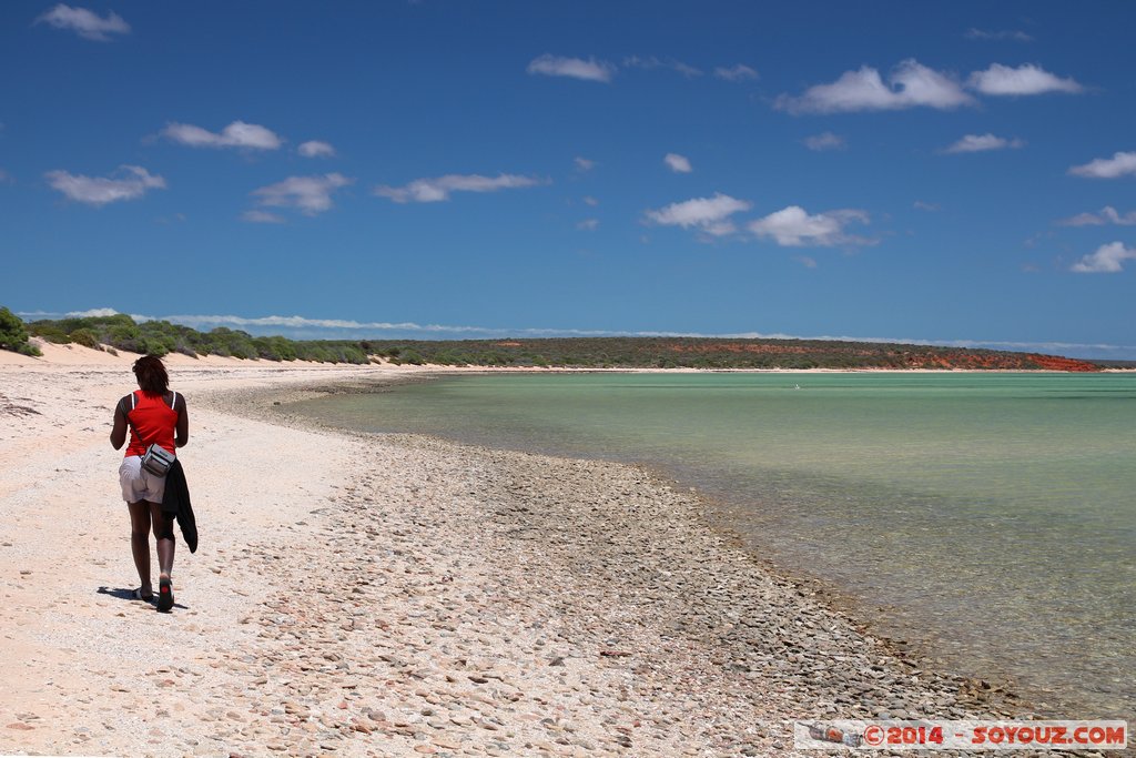 Shark Bay - Monkey Mia
Mots-clés: AUS Australie geo:lat=-25.79418120 geo:lon=113.70489820 geotagged Monkey Mia Western Australia patrimoine unesco paysage